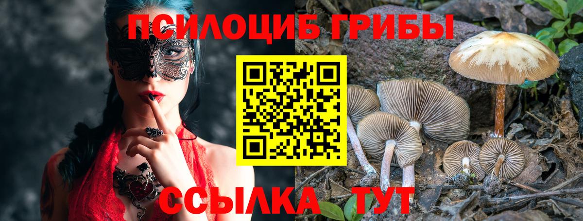 Псилоцибиновые грибы мицелий  Вход с VPN  Богородск 